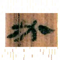 北大汉简必书法图片