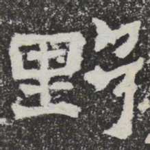 魏碑野书法图片