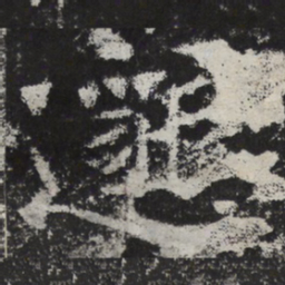 魏碑邈书法图片