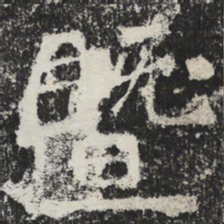 魏碑暨书法图片