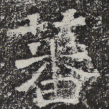 魏碑蕃书法图片