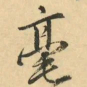 金琮毫书法图片