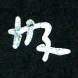 王泽松好书法图片