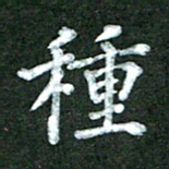 林佳燕种书法图片