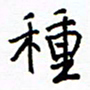 侯运智种书法图片