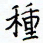 侯运智种书法图片