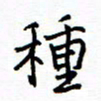 侯运智种书法图片
