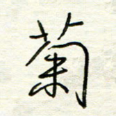 汪寅生菊书法图片