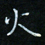 蒋朝明火书法图片