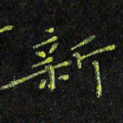 陈金杜新书法图片
