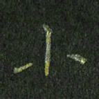 石鎏小书法图片