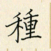 董芳瑜种书法图片