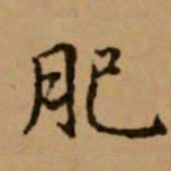 赵孟頫肥书法图片