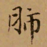 赵孟頫肺书法图片