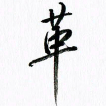 范震革书法图片