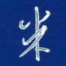 韩录涛米书法图片