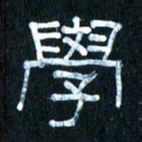 王国灵学书法图片