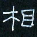 王国灵相书法图片