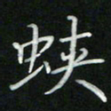 张开平蛱书法图片