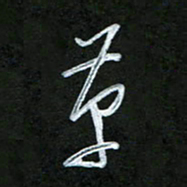 韩录涛革书法图片
