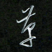 韩录涛革书法图片