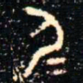 金文尸书法图片