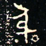 金文身书法图片