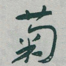 于右任菊书法图片