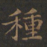 王羲之种书法图片