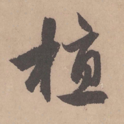 赵孟頫植书法图片