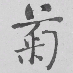 何绍基菊书法图片