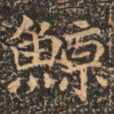 鯨书法图片
