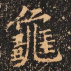 龜书法图片