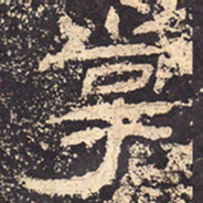 掌书法图片