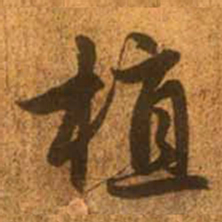 赵孟頫植书法图片