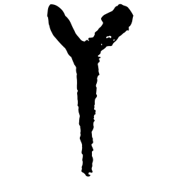 曾彩初丫书法图片